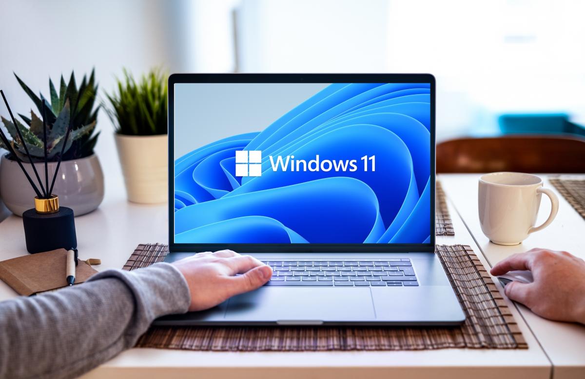 biblia windows 11 resolvemos todas dudas sustituto windows 10 2401109